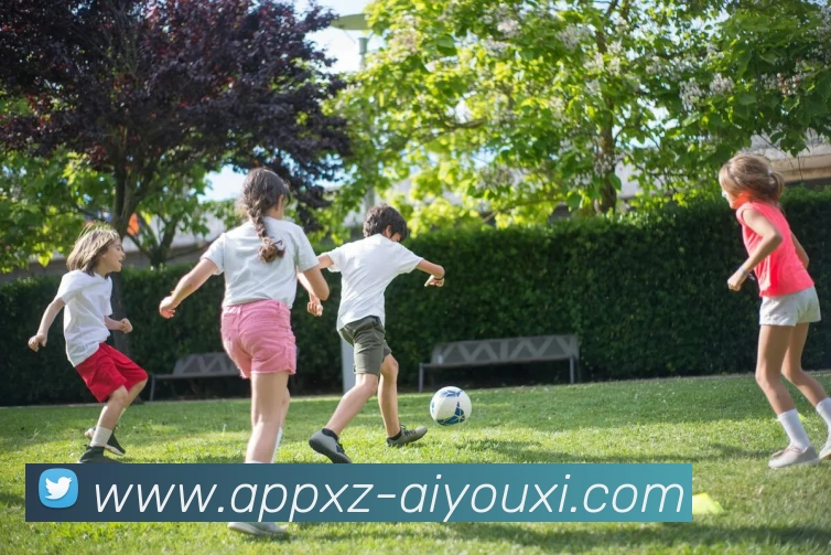 App Interface Preview